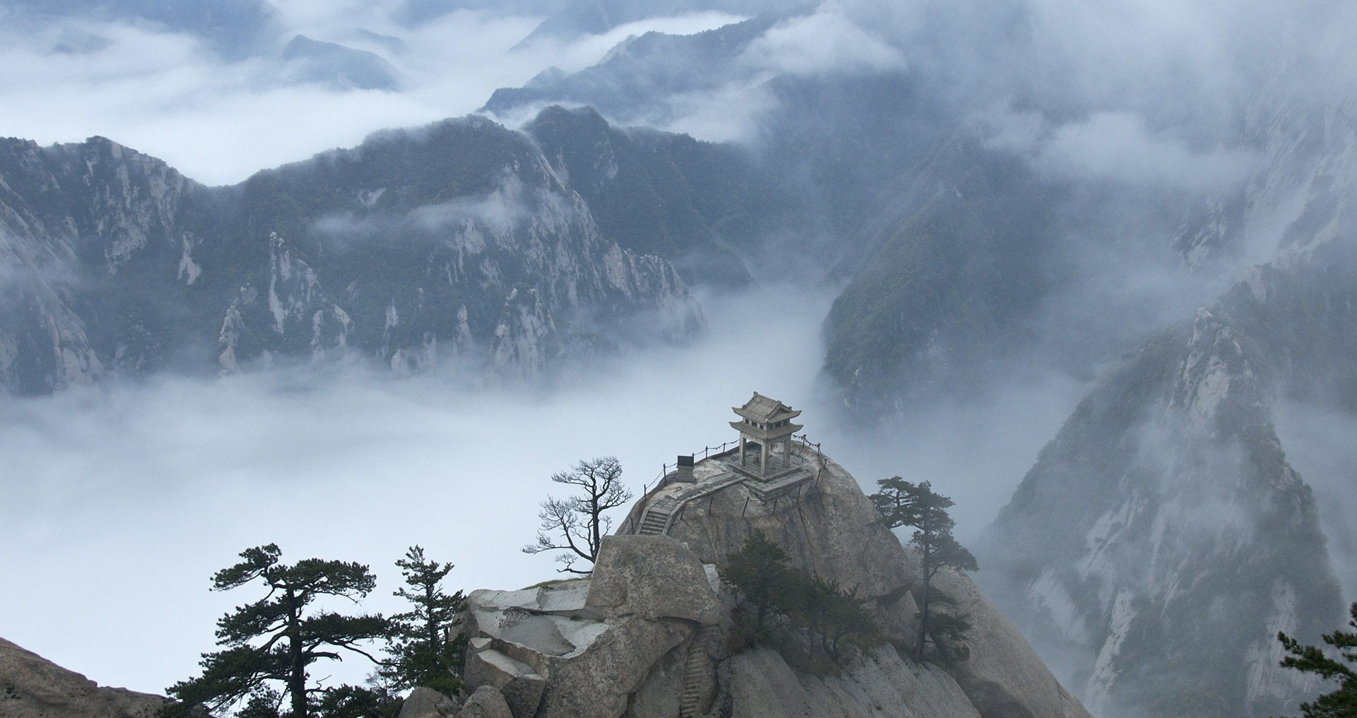 自动攻击网站工具下载