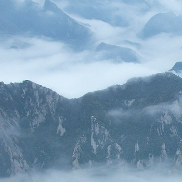 甜蜜的DDOS压力测试网页端